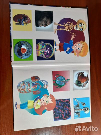 Книга тело человека