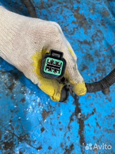 Проводка моторного отсека Хендай Элантра