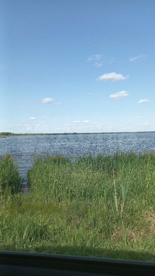 Участок 20 сот. (ИЖС)