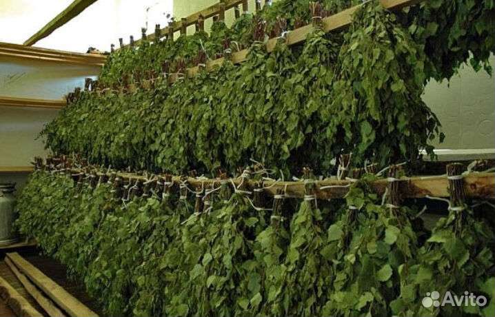 Веники для бани