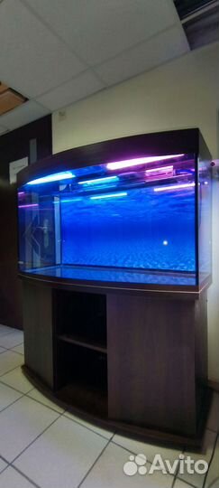 Аквариум 400 свет биофильтр фон подставка