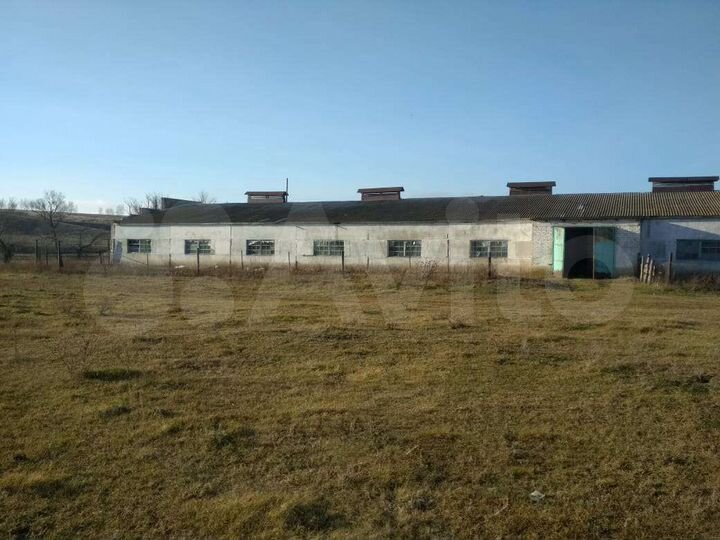 Свободного назначения, 8000 м²