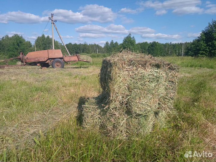 Сено в тюках