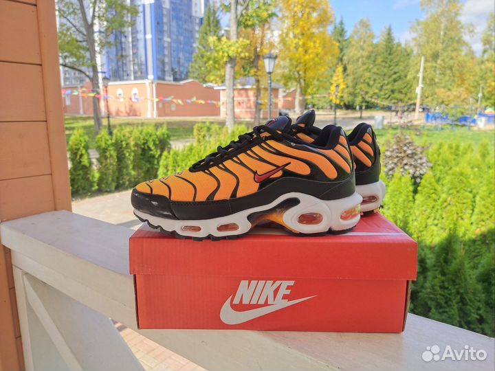 Кроссовки nike air max tn plus