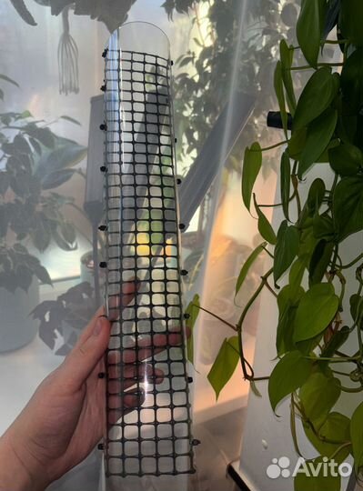 Опора тотем для растений