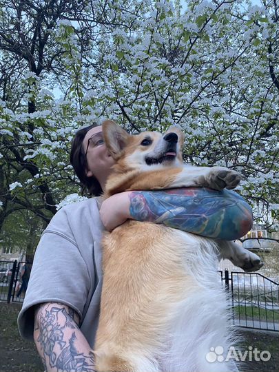 Выслушаю ваше нытье