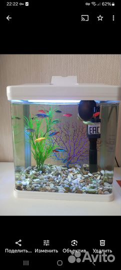 Аквариум