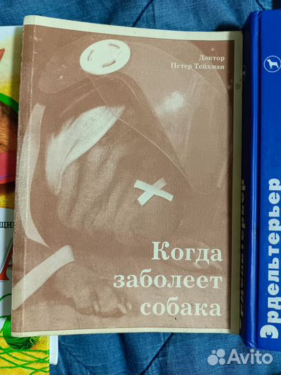 О домашних животных