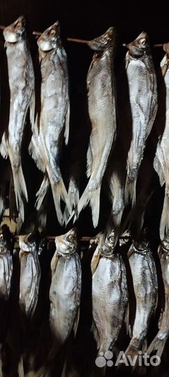 Вяленая рыбка
