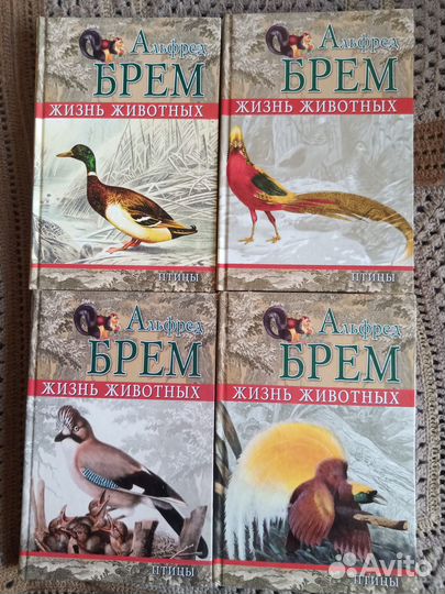Книги А. Брэм