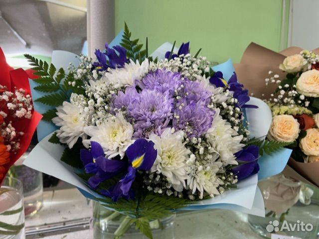 Комнатные растения цветы с доставкой