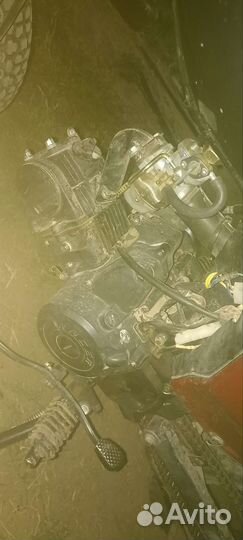 Альфа рейсер 72