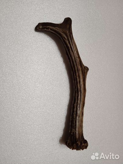 Рог для рукояти