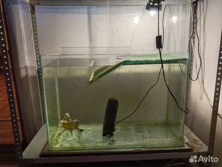 Аквариум