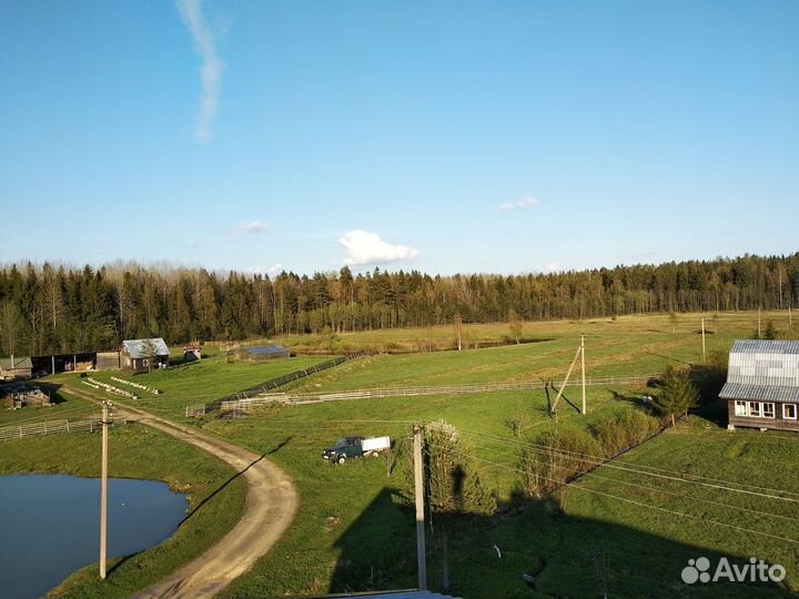 Ленточная пилорама в аренду