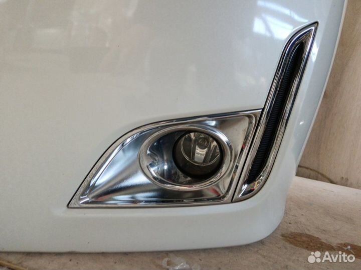 Nose cut Nissan Elgrand TE52 2010