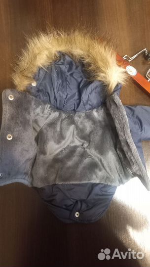 Одежда для собак мелких пород