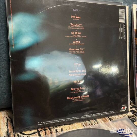 Candy Dulfer Saxuality