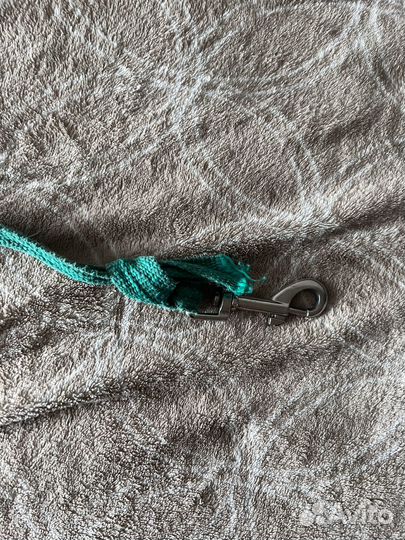 Поводок для собак, ошейник для собак