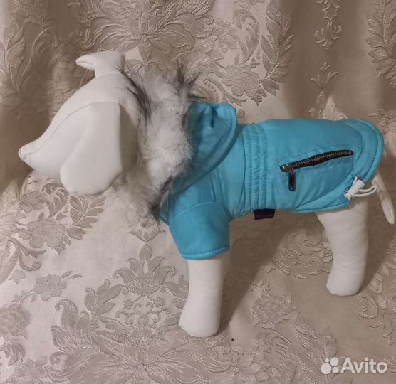 Манекен собаки