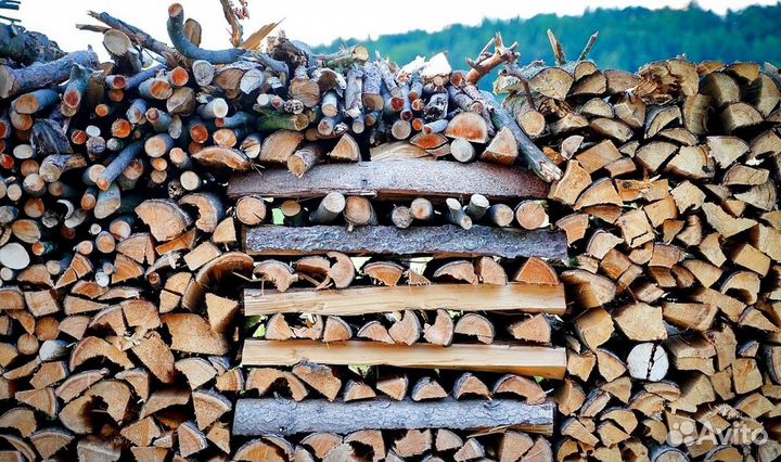 Дрова для камина