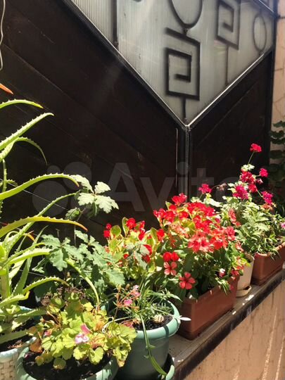 Комната 16 м² в 1-к., 3/3 эт.