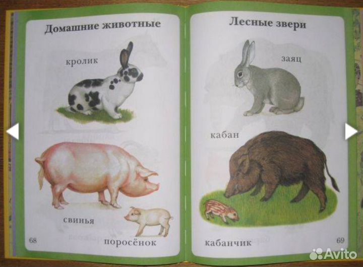 Моя первая книга. Самая любимая. От 6 месяцев до 3