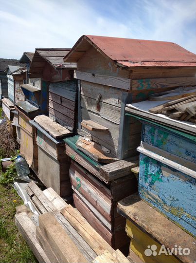 Ульи для пчел