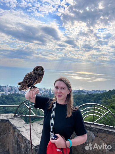 Репетитор по русскому огэ, егэ