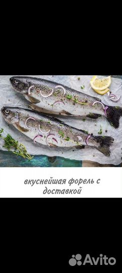 Радужная форель в наличии