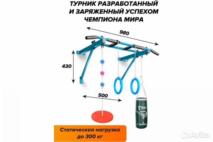 Турник с навесным оборудованием 