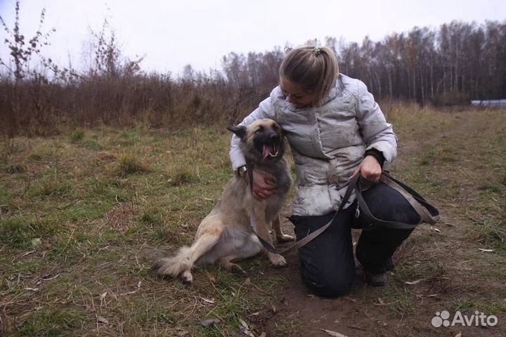 Я Ронни.И я так сильно тебя жду