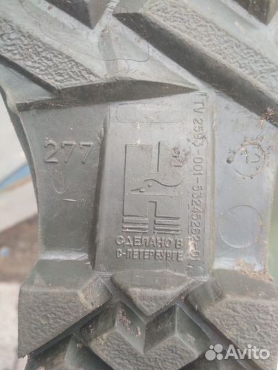 Забродники