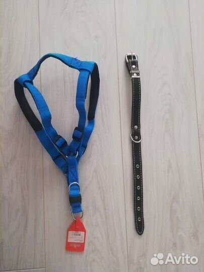 Шлейка и ошейник для собаки