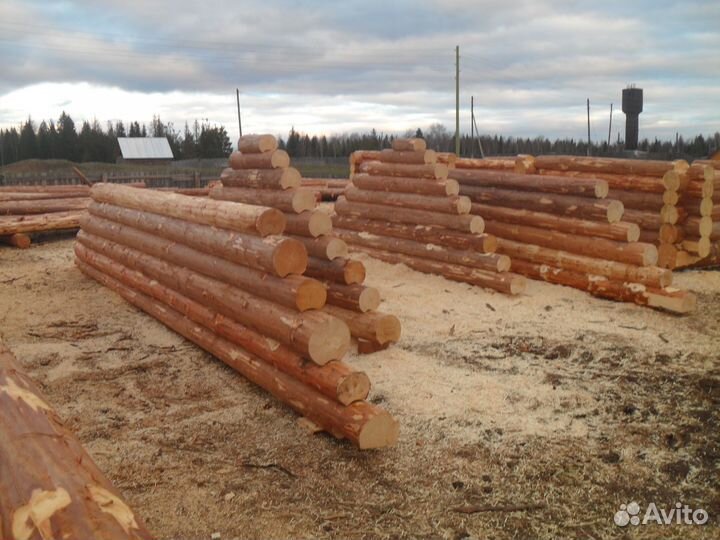 Срубы Кочево