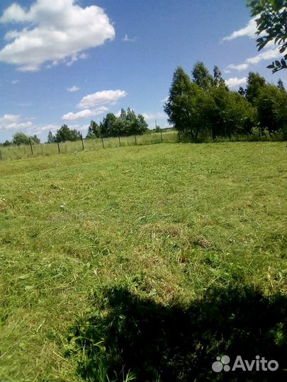 Покос травы