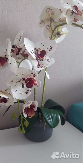 Орхидея искусственная