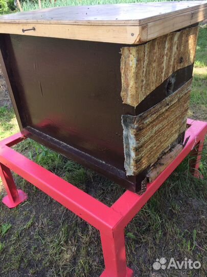 Пчелиный рой,пчелы