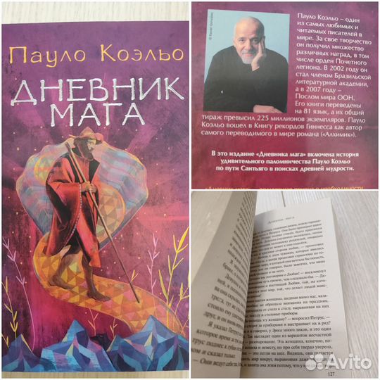 Книга Милый друг, Дневник мага