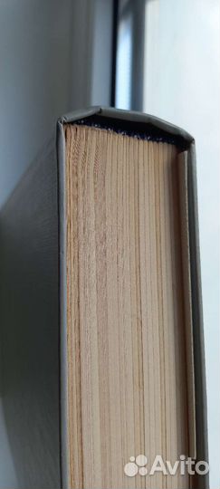 Исай Калашников. Жестокий век