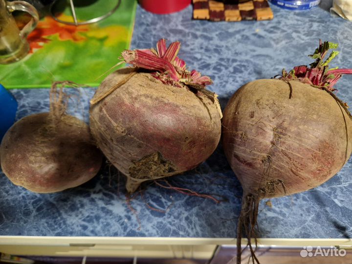 Домашние овощи