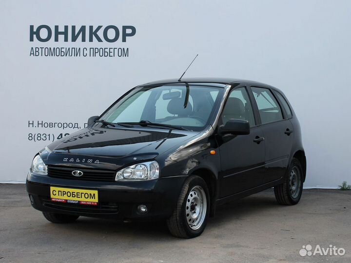 Калина новгород
