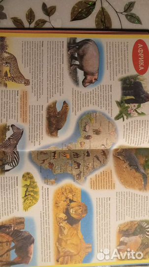 Атлас животных для детей