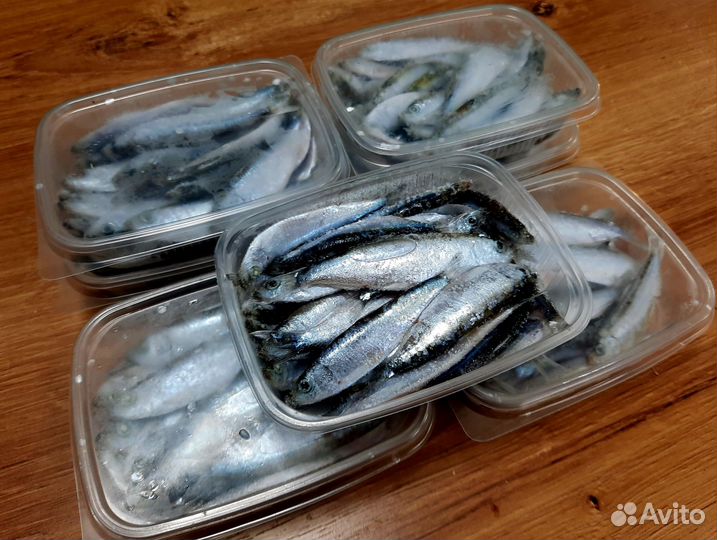 Тюлька для рыбалки