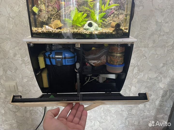 Продается кастомный настенный автономный аквариум