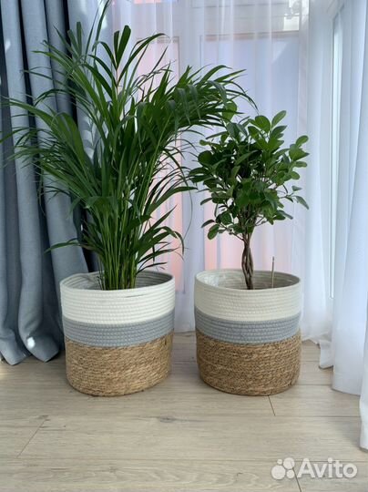 Кашпо плетеное напольное