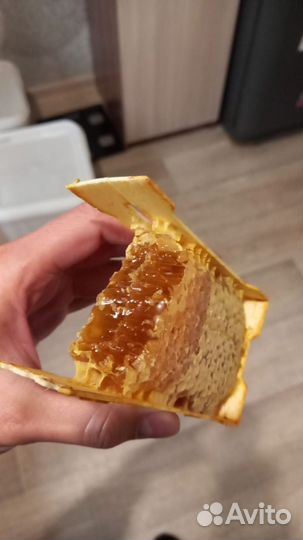 Сотовый мед с Алтая