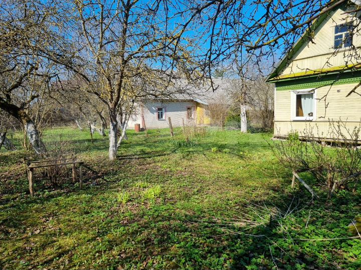 Дом 49,3 м² на участке 20 сот.