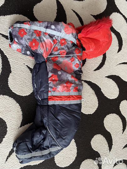 Одежда для маленьких пород собак