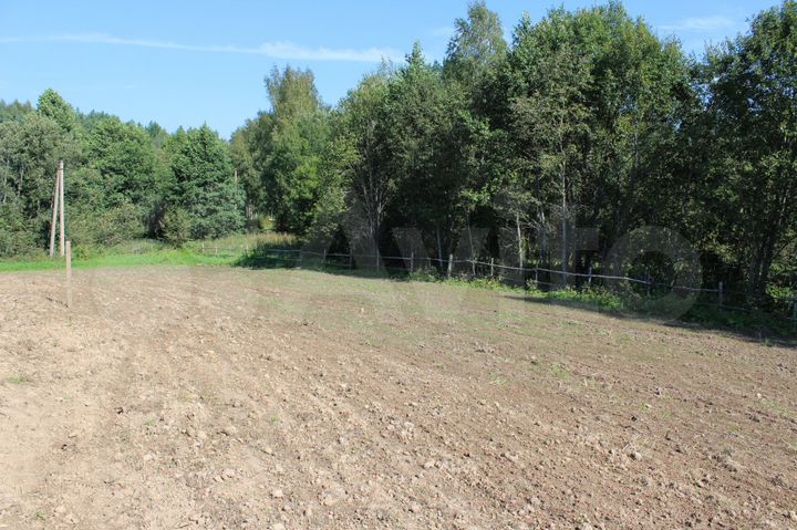 Участок 50 сот. (ИЖС)